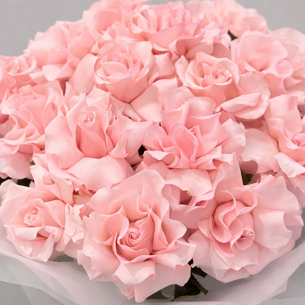 Большой букет из розовых французских роз - РИМСКАЯ РОЗА фото №3