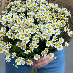 Ромашки в крафте