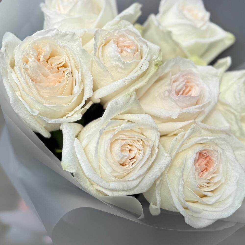 Пионовидные белые розы 9 штук сорта White Ohara фото №5