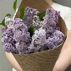Сирень 3 ветки в крафте