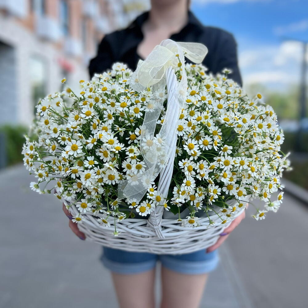 Большая корзина с полевыми ромашками - РИМСКАЯ РОЗА фото №1