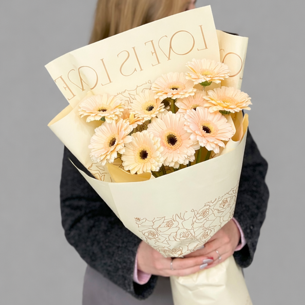 Монобукет из кремовых гербер в дизайнерской упаковке - РИМСКАЯ РОЗА фото №2