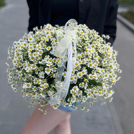 Большая корзина с полевыми ромашками