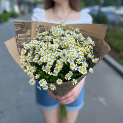 Ромашки в крафте