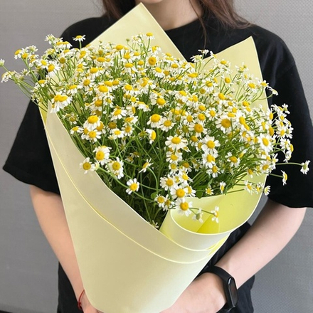 Букет из ромашек