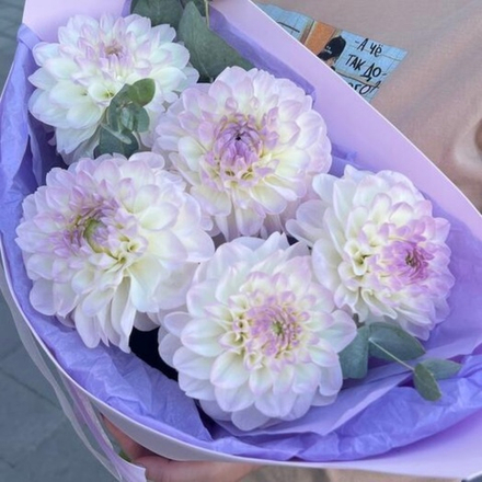 Георгины с эвкалиптом