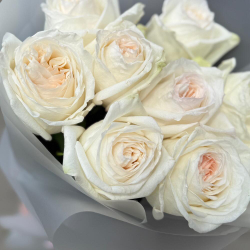 Пионовидные белые розы 9 штук сорта White Ohara фото №5