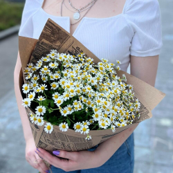 Ромашки в крафте