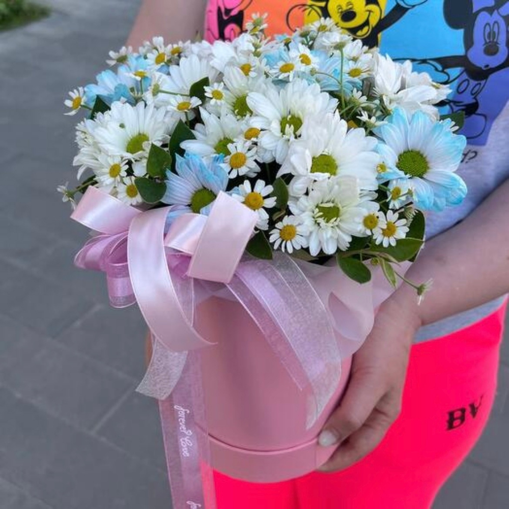 Хризантема в коробке с ромашками