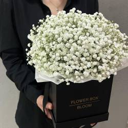 Коробка с гипсофилой