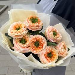 Букет из пионовидных роз Мелон Экспрешн 7 штук фото №2