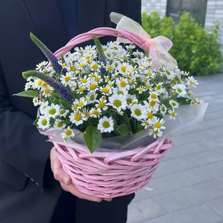Ромашки в корзине с ромашковой сантини