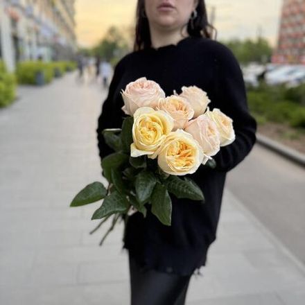 Букет из кремовых пионовидных роз Крем Экспрешн (Cream Expression), 7 штук